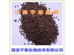 沙苑子提取物沙苑子粉