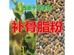 补骨脂提取物补骨脂粉