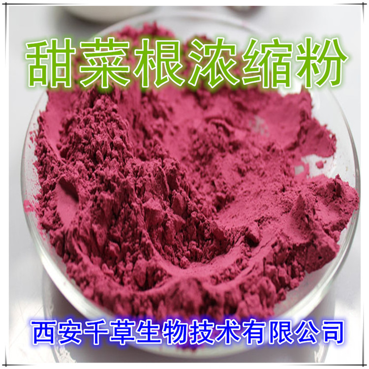 甜菜根浓缩粉
