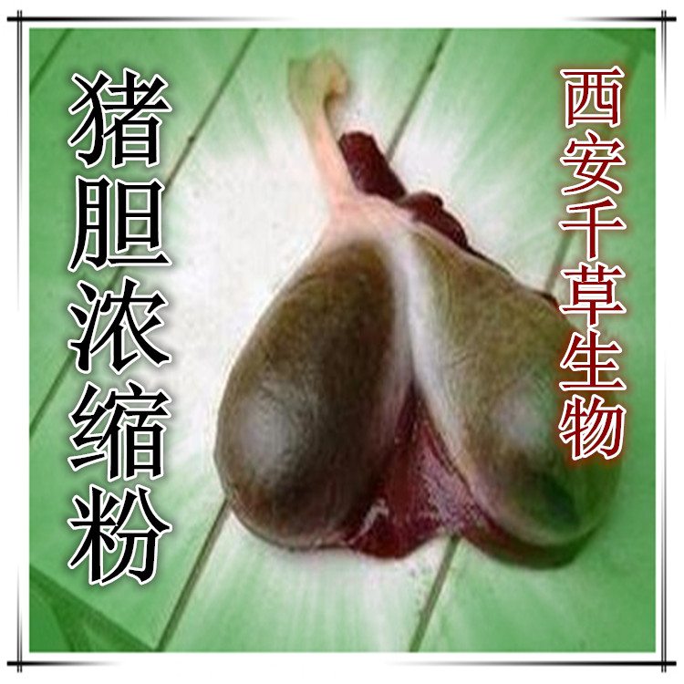 猪胆浓缩粉