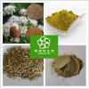 小茴香速溶粉 小茴香粉 浓缩粉 提取物