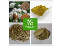 小茴香粉 小茴香提取物 浓缩粉