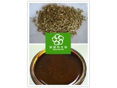 小茴香浸膏 小茴香小茴香提取物
