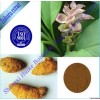 Zedoaria extract powder