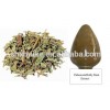 Pubescent Holly Root Extract