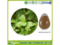 Mentha extract