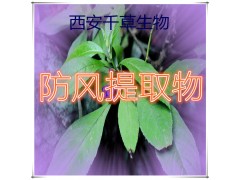 防风提取物防风粉防风浓缩粉防风浸膏粉