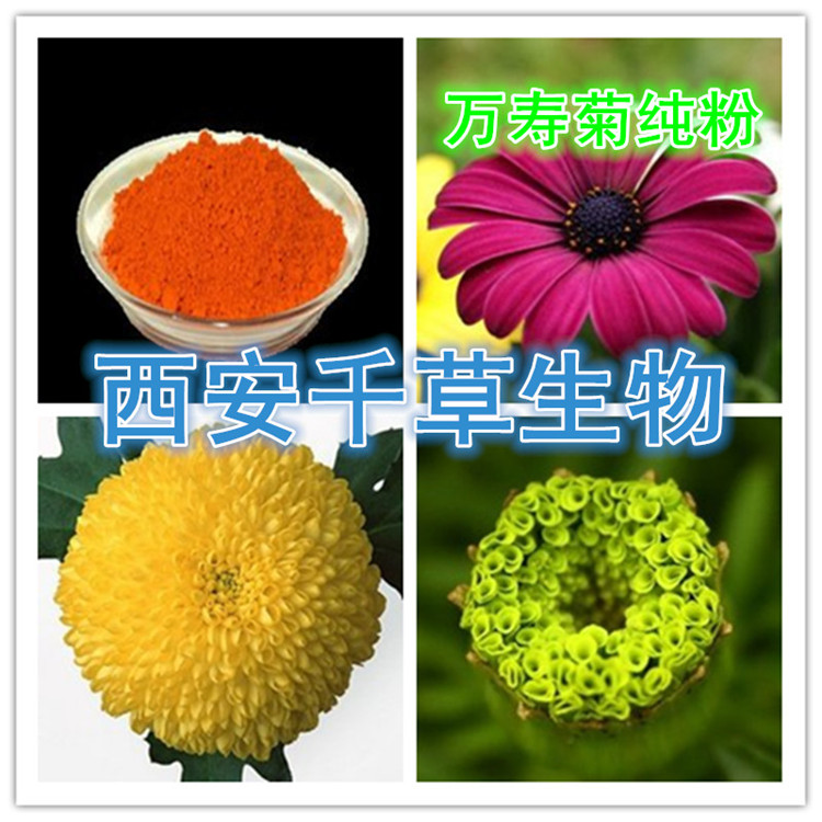 万寿菊纯粉
