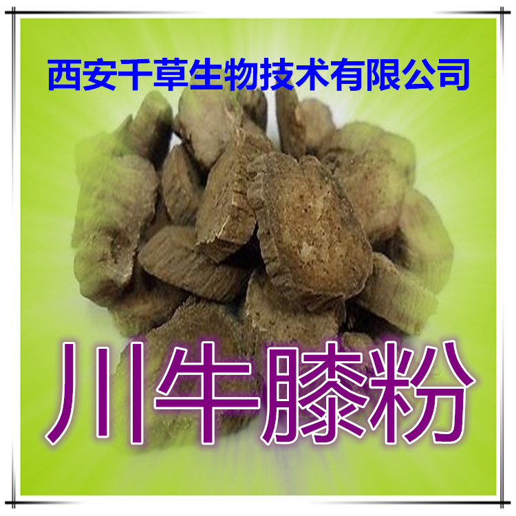 川牛膝粉