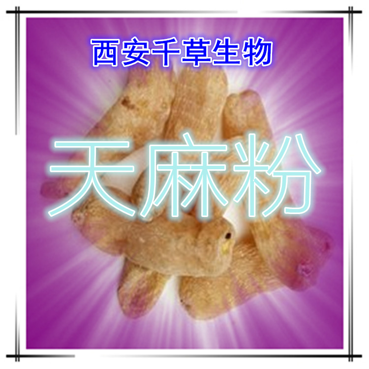 天麻粉