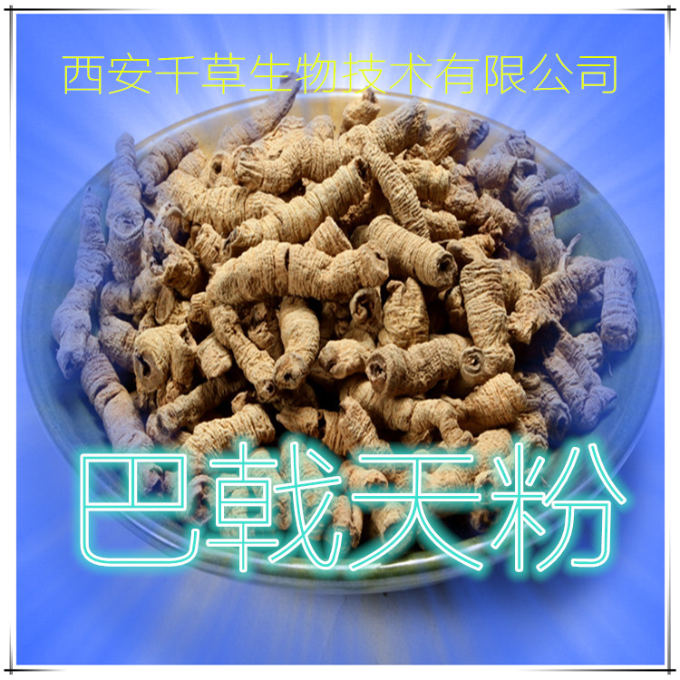 巴戟天粉