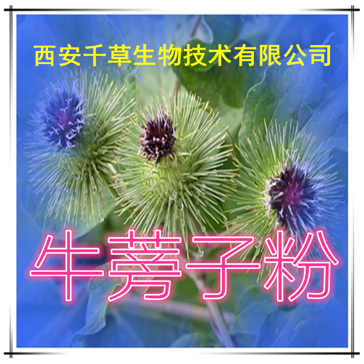 牛蒡子粉