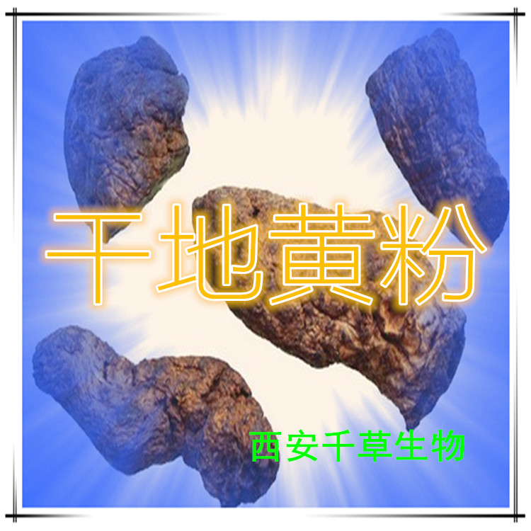 干地黄粉