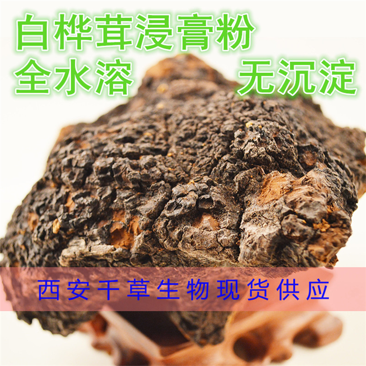 白桦茸浸膏粉