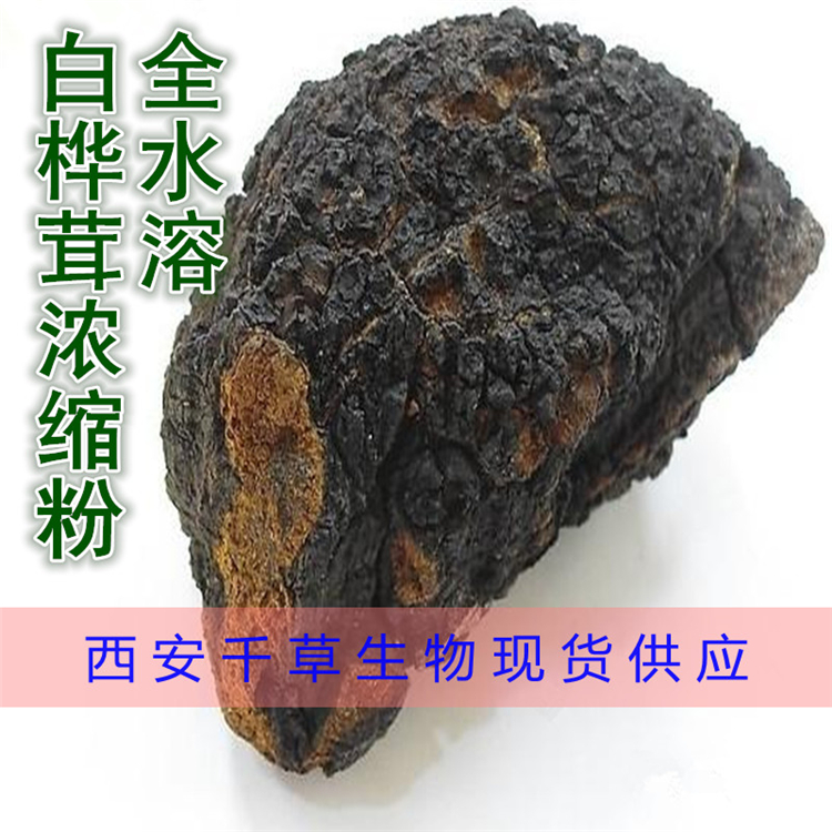 白桦茸浓缩粉