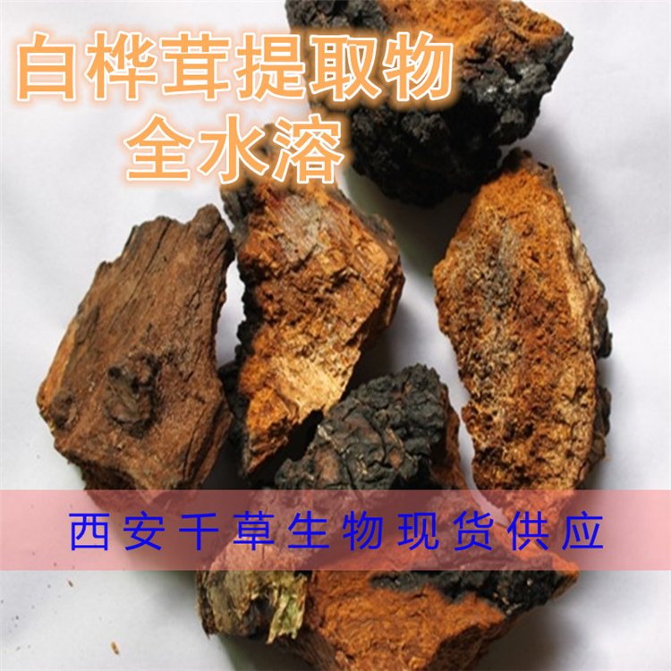 白桦茸提取物