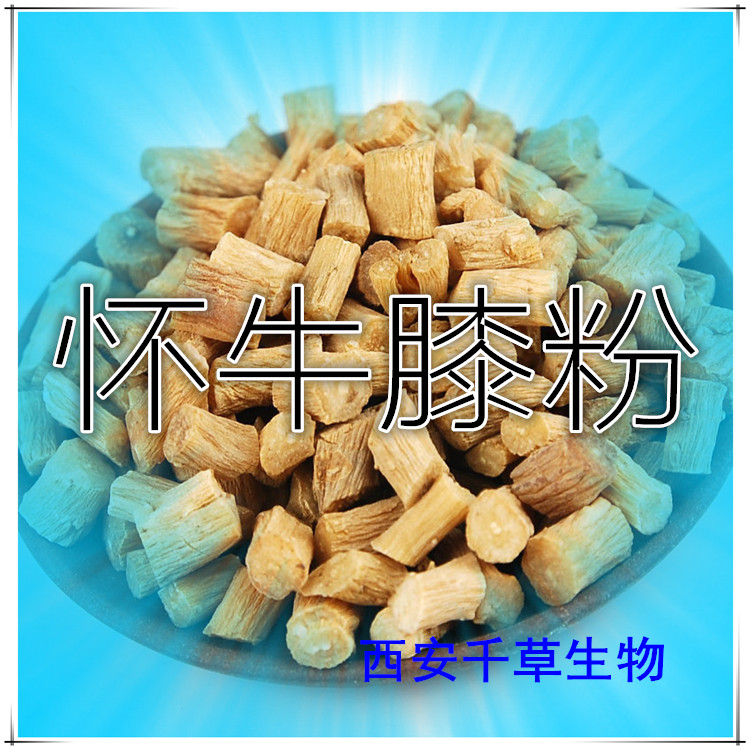 怀牛膝粉