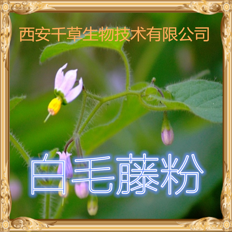 白毛藤粉00