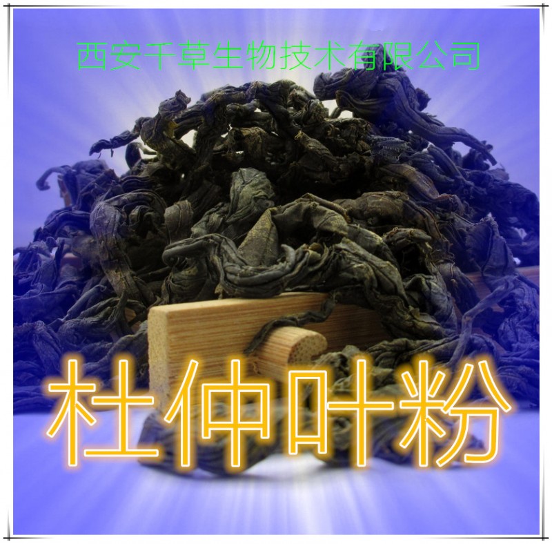杜仲叶粉 (2)