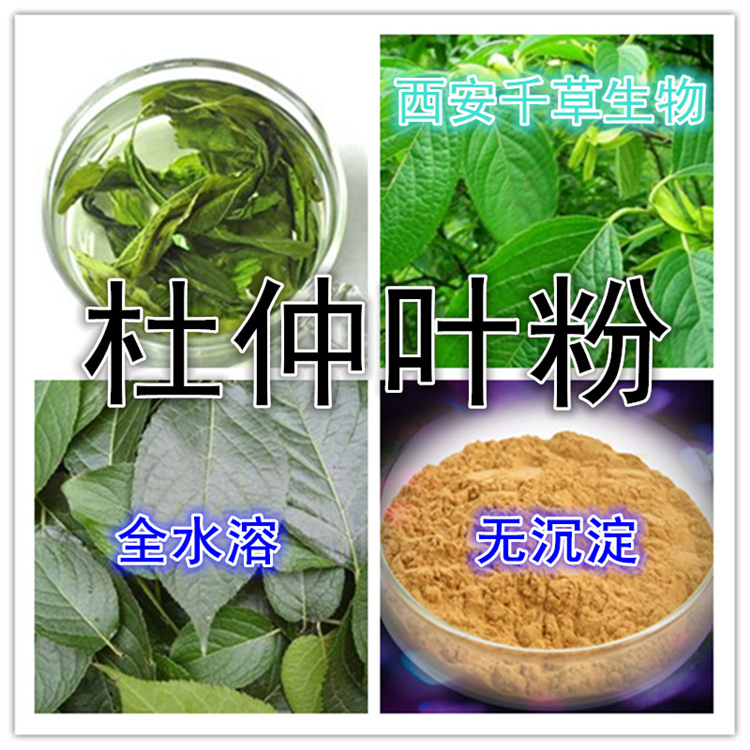 杜仲叶粉