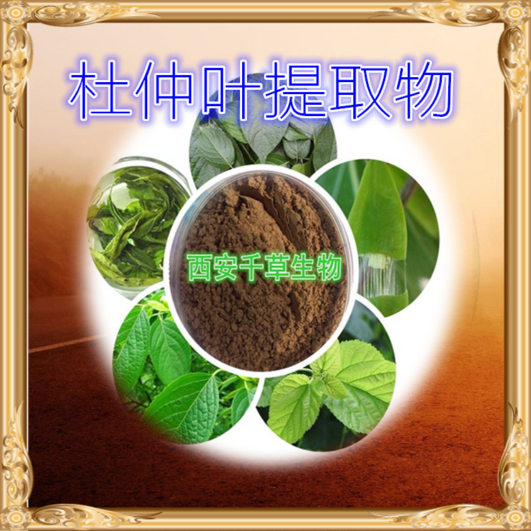 杜仲叶提取物