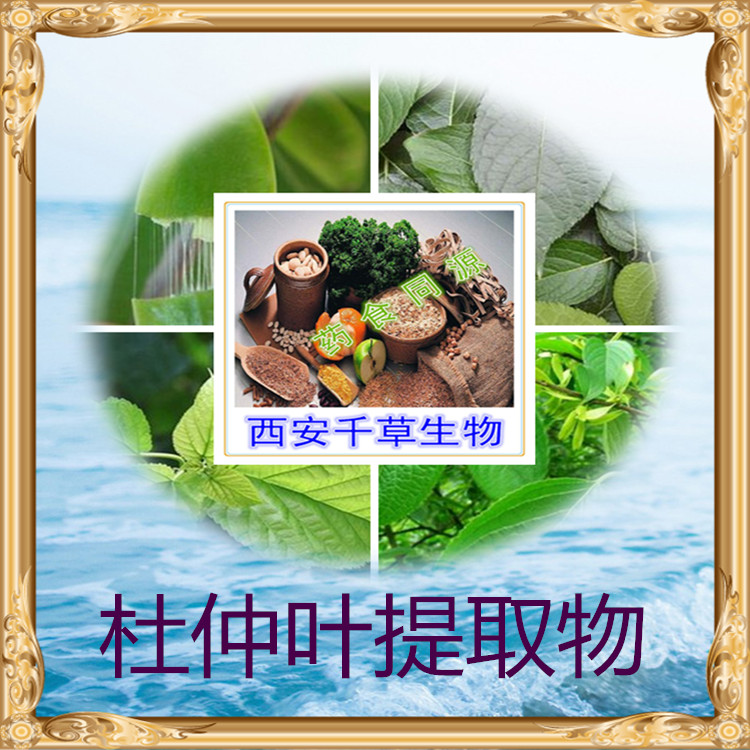 杜仲叶提取物00
