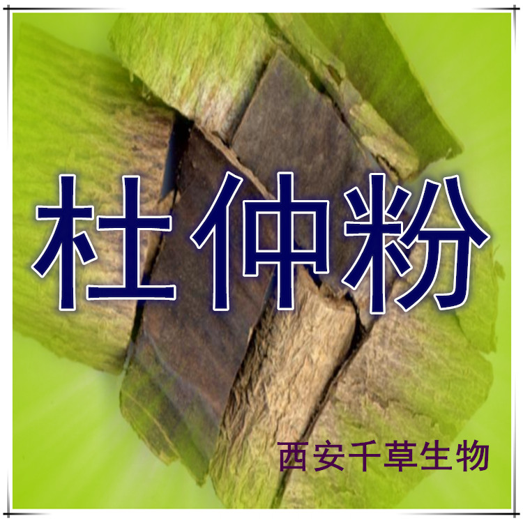 杜仲粉