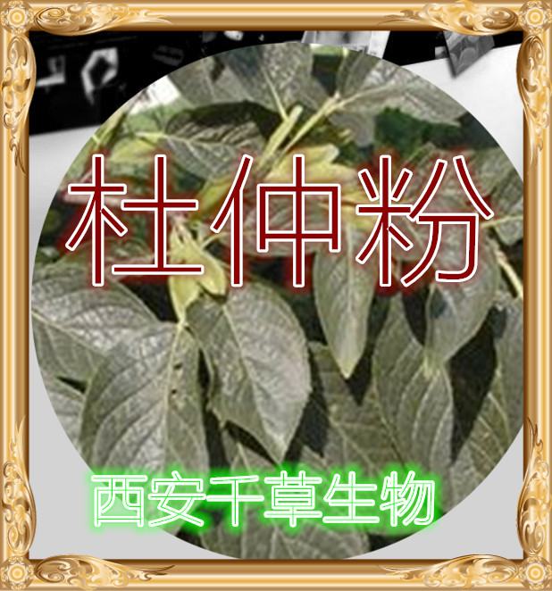杜仲粉00