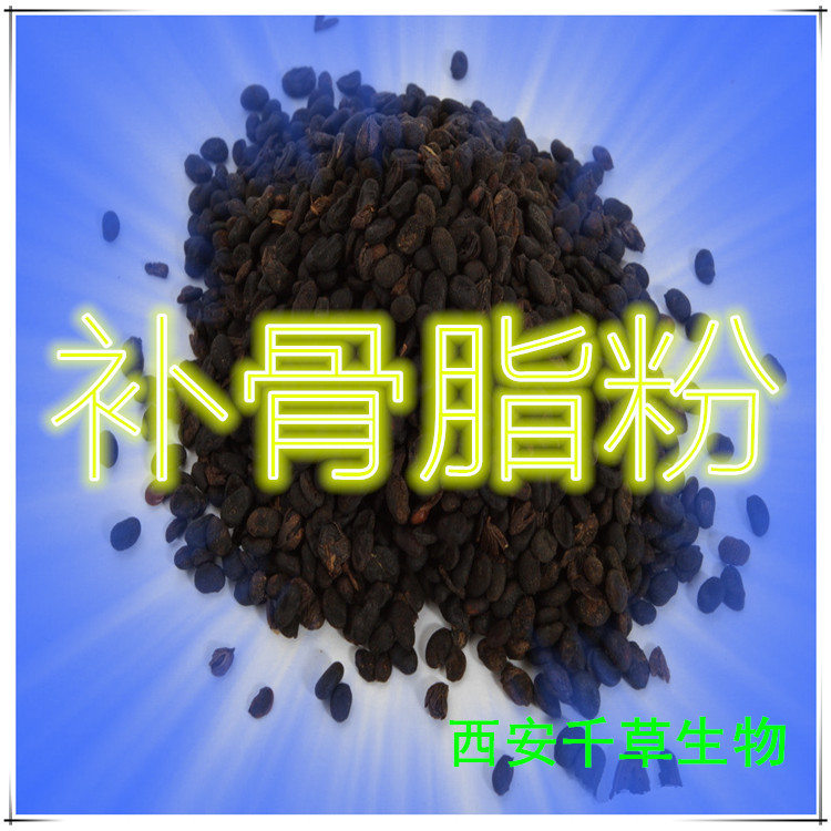 补骨脂粉