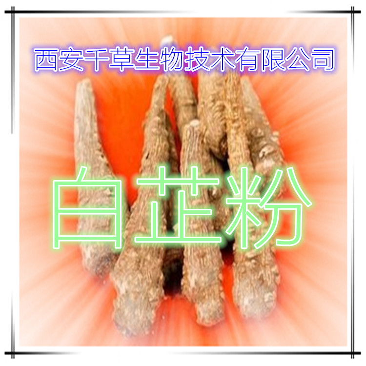 白芷粉 (2)