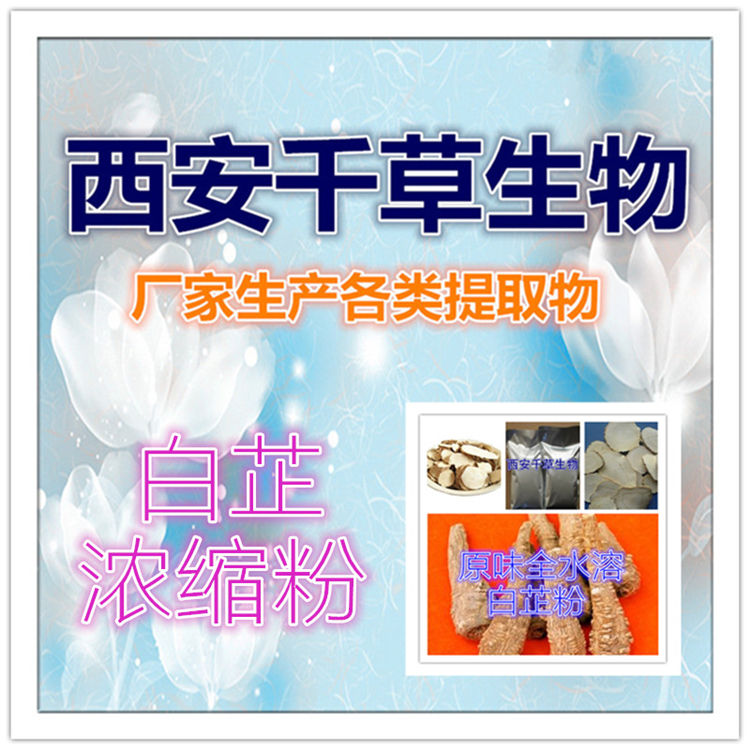 白芷浓缩粉
