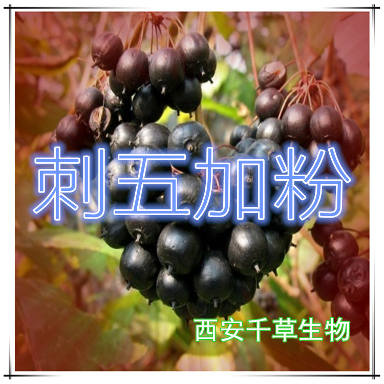 刺五加粉