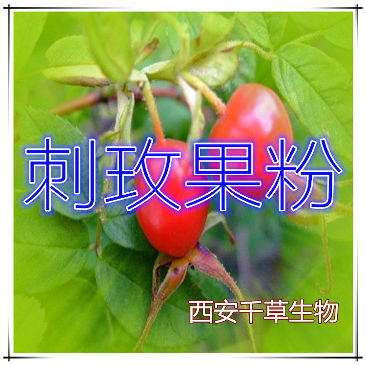 刺玫果粉
