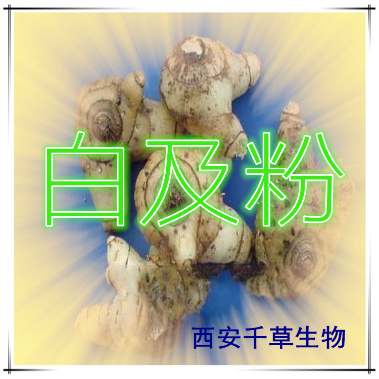 白及粉