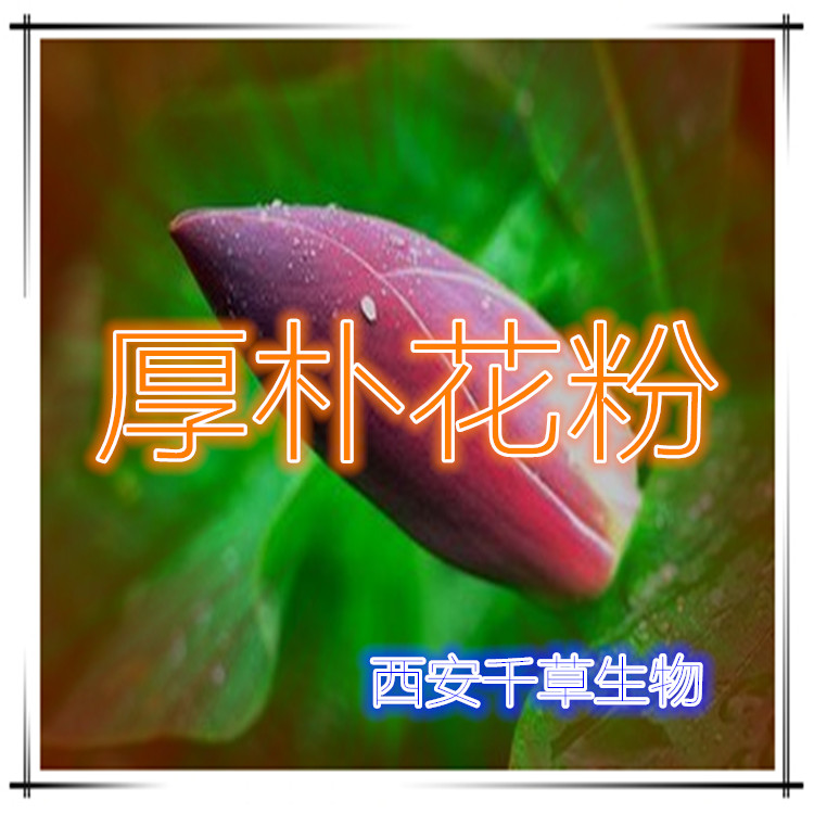 厚朴花粉