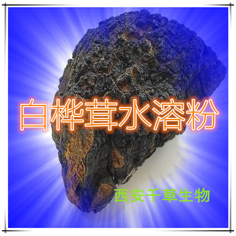 白桦茸水溶粉
