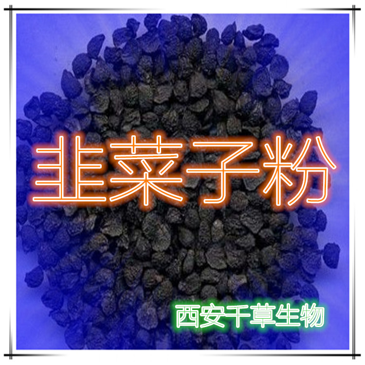 韭菜子粉