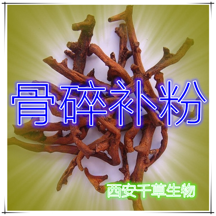 骨碎补粉