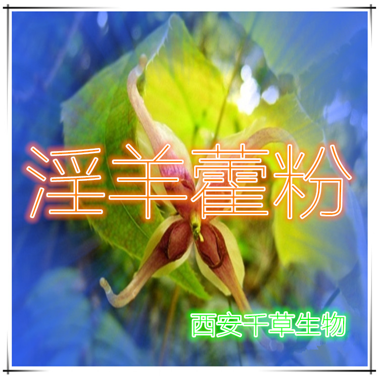 淫羊藿粉