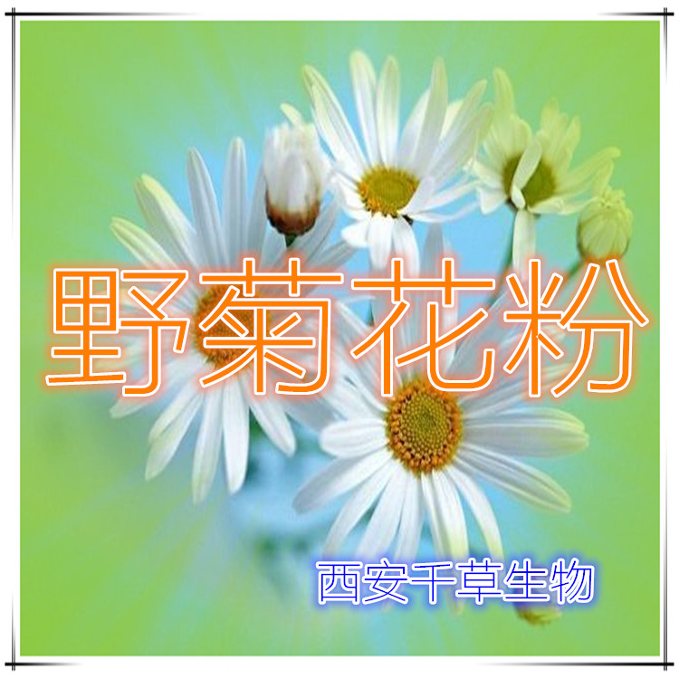 野菊花粉
