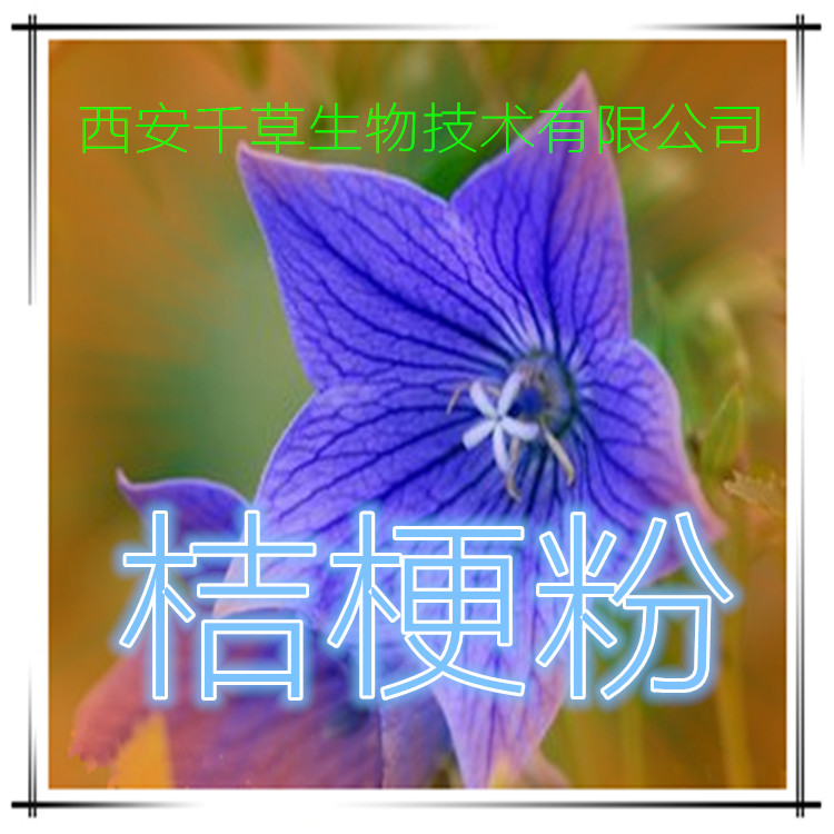 桔梗粉 (2)
