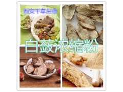 白蔹提取物白蔹浓缩粉
