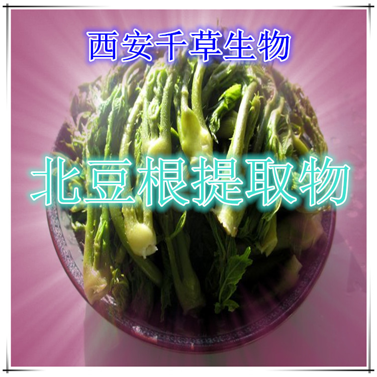 北豆根提取物