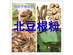 北豆根提取物北豆根粉