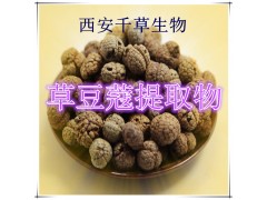 草豆蔻提取物草豆蔻粉