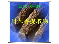 川木香提取物川木香粉