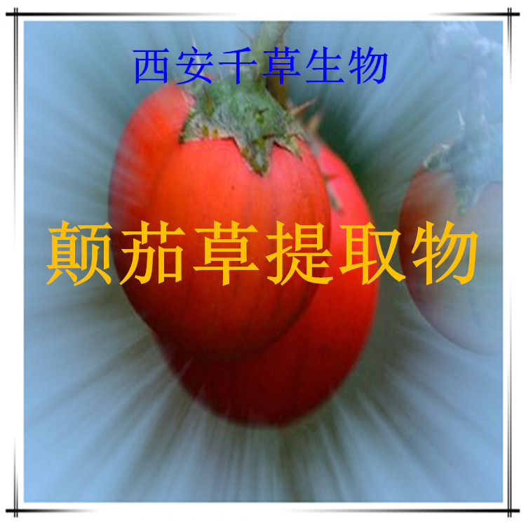 颠茄草提取物