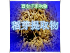 稻芽提取物稻芽粉