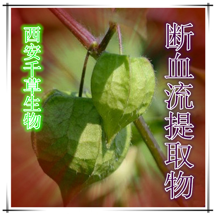 断血流提取物