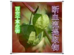 断血流提取物断血流浓缩粉